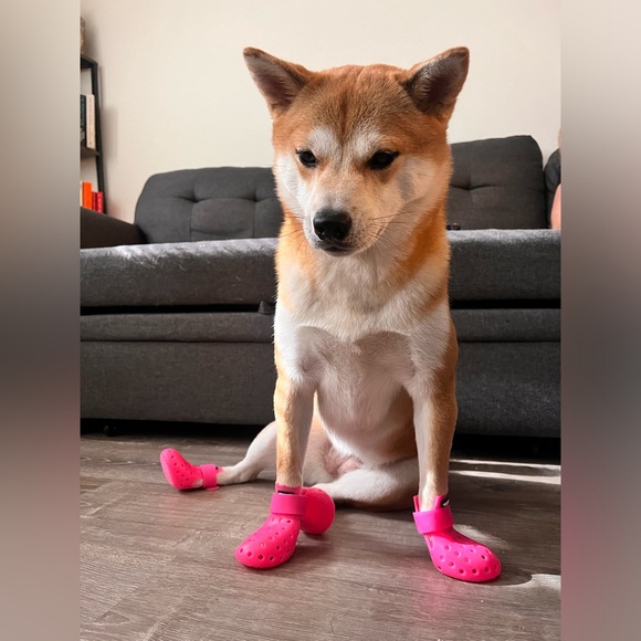 WAGWEAR BOOTS FOR DOGS - Picture 2 of 4